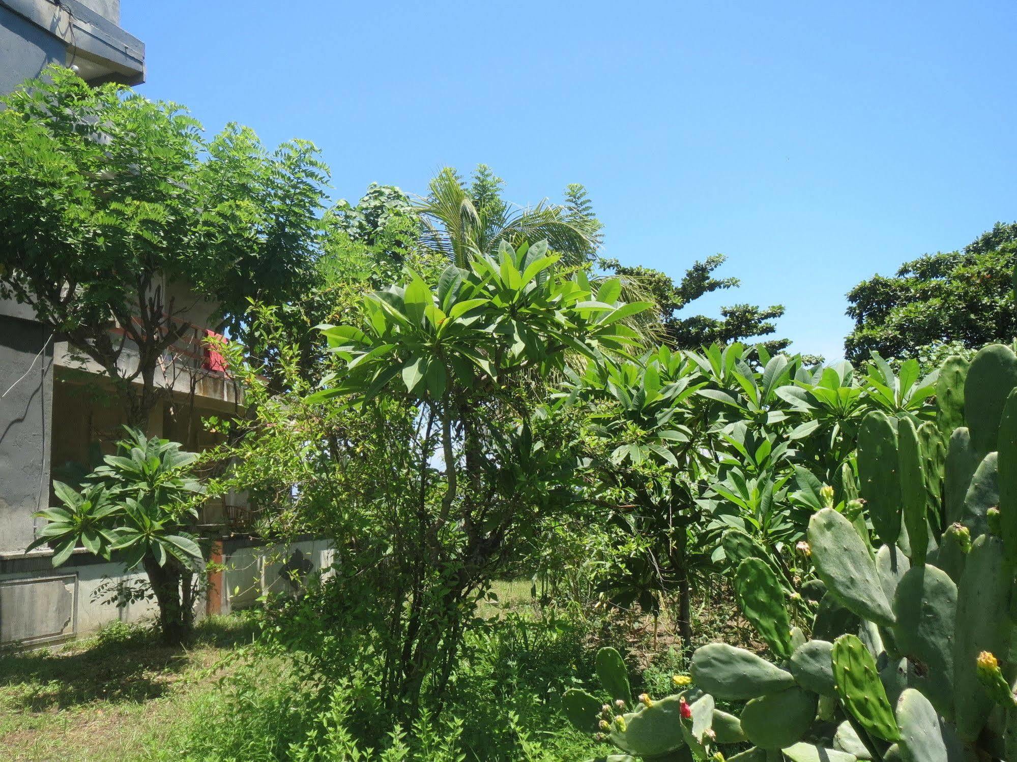 Amed Sari Beach Guesthouse Экстерьер фото